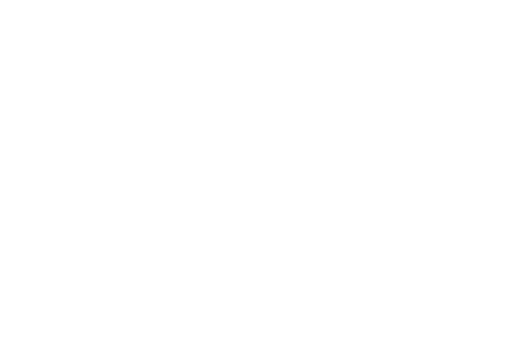 illustration du cheval blanc au galot